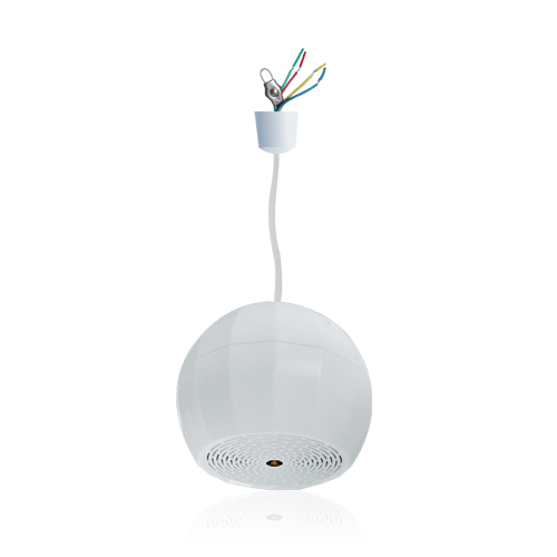 Pendant Speakers